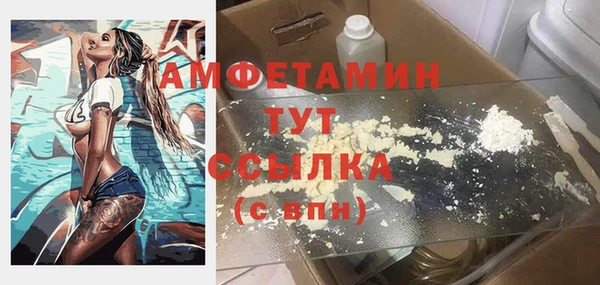 стаф Тайга