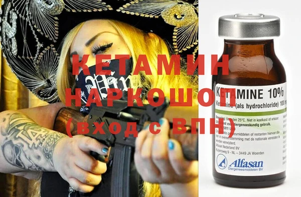 стаф Тайга