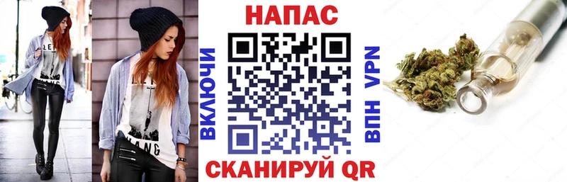 Бошки Шишки план  Купить закладки  Аргун 